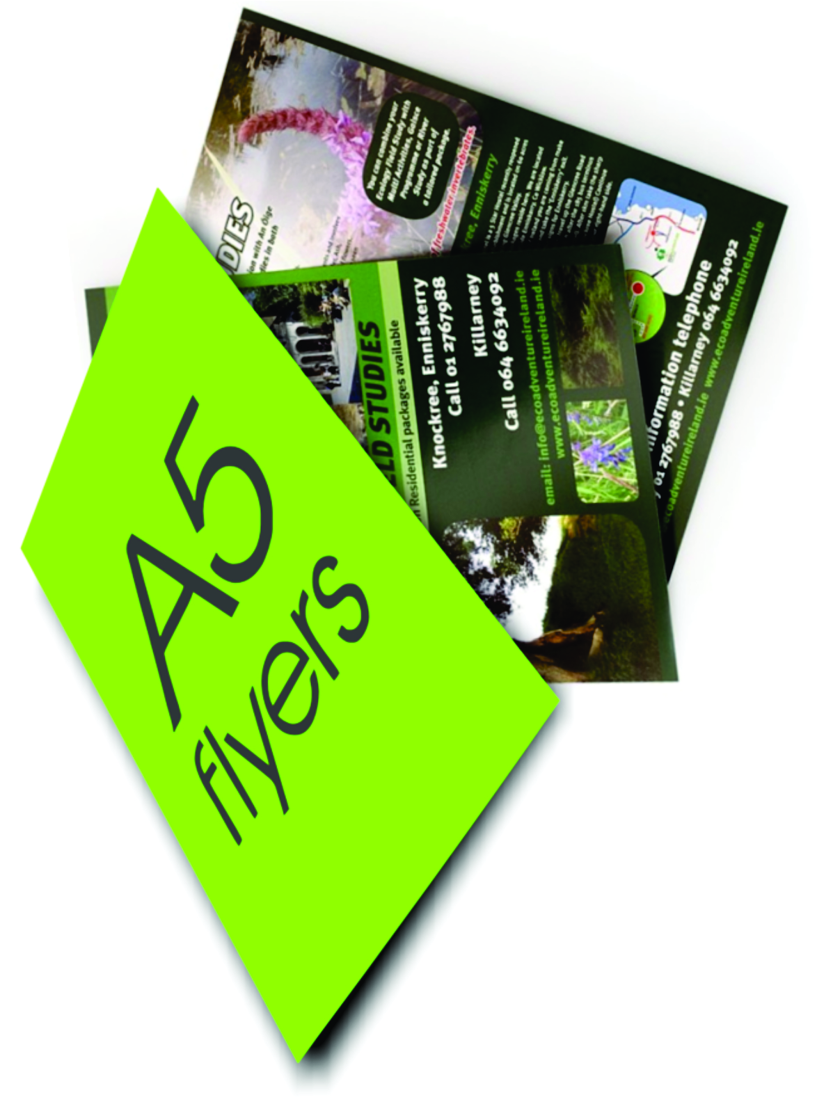 Thumbnail Image 1